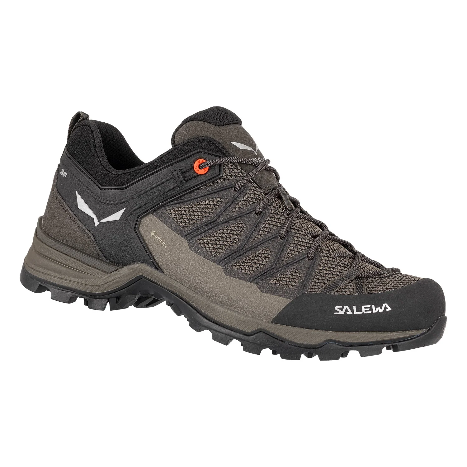 Salewa